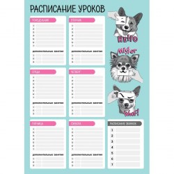 Расписание уроков А3 Феникс 60372 "Веселые мордочки" пластик, многоразовое