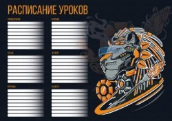 Расписание уроков А4 Феникс 60357 "Кибер лев"