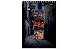 Тетрадь 160л  А4 Хатбер 160Тт4В1сп_08932 "Краски Парижа" на спирали, тв. обложка 028006