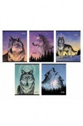 Тетрадь  48л Альфа-Тренд 120010 "Дух леса" клетка, ассорти