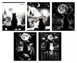 Тетрадь  48л Альфа-Тренд 120041 "Которомантика" клетка, ассорти