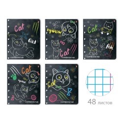Тетрадь  48л. Альт 7-48-746 "Ученый кот" клетка, ассорти