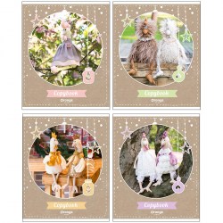 Тетрадь  48л. БиДжи 2670 "Orange Toys" клетка