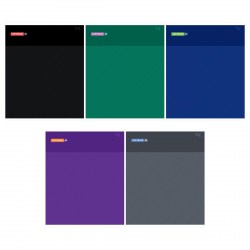 Тетрадь  48л БиДжи Т5ск48 62714 "Моноколор" линия, ассорти 372477