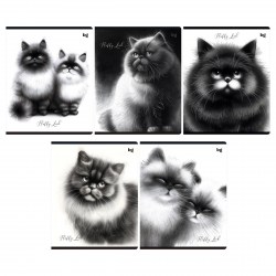 Тетрадь  48л. БиДжи Т5ск48 63531 "Пушистые коты" клетка 374419