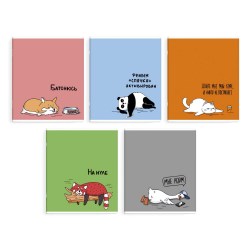 Тетрадь  48л Феникс 68535 "Герои с характером" клетка, ассорти