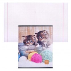 Тетрадь  48л. inФормат ТОК48КР-КТ клетка "Котики" 168738