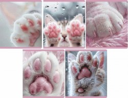 Тетрадь  48л Lamark 4824-33 "Лапки" клетка, на скобе, глянц ламин