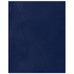 Тетрадь  48л OfficeSpace Т5бв48к_16411/Staff 403414 клетка, синий бумвинил 252727