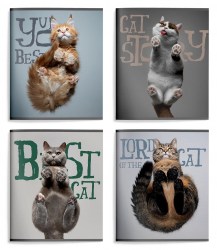 Тетрадь  48л. Schoolformat ТОЛ48-ЛКТ "Лапы кота" клетка, ассорти 249232