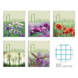Тетрадь  80л. 5+ Альт 7-80-856 "Цветы" клетка, на спирали, ассорти