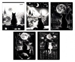 Тетради набор  48л Альфа-Тренд 120041 "Которомантика" клетка, ассорти /5шт/