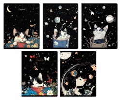 Тетради набор  48л Альфа-Тренд 120046 "Котобезумие" клетка, ассорти /5шт/