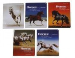 Тетради набор  48л. Альт 7-48-407 клетка "Мустанги" /5шт/