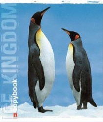 Тетради набор  48л. Альт 7-48-512 клетка "ПИНГВИНЫ" ассорти /5шт/