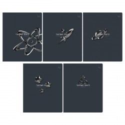 Тетради набор  48л БиДжи Т5ск48 61093 "Chrome" клетка, ассорти /5шт/ 370633