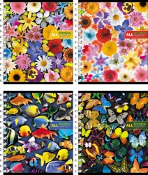 Тетради набор  48л. Полиграфика 26714/28902 клетка Bionica all together  голография /5шт/