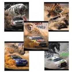 Тетради набор  48л. Полиграфика 37562 клетка "С характером зверя"  5шт