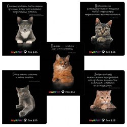 Тетради набор  48л. Полиграфика 40057 "Законы Мерфи" клетка, ассорти /5шт/