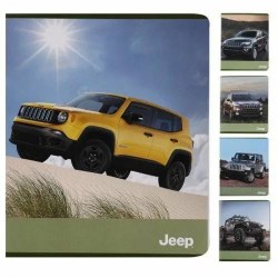 Тетради набор  48л. Полиграфика 40066 "Jeep" клетка, ассорти /5шт/