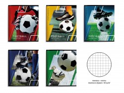 Тетради набор  48л. Schoolformat ТОК48-ФП "Футбольные победы" клетка, ассорти /5шт/ 228648