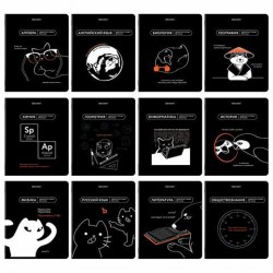 Тетради предметные Brauberg 405096 "Мемы" /13шт/