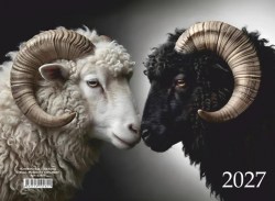 Календарь настенный на 2027г.Lamark02821 
